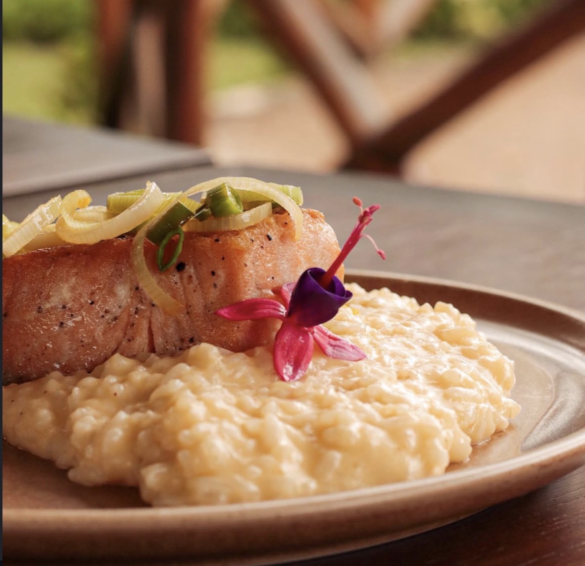 Salmão com risoto cremoso